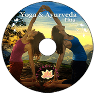 Tami Hafzalla & Jodi Boone Synergy Yoga School