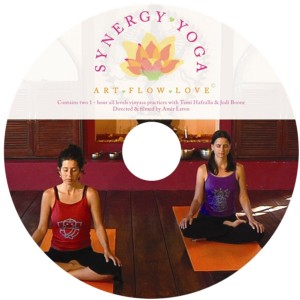 Synergy Yoga DVD